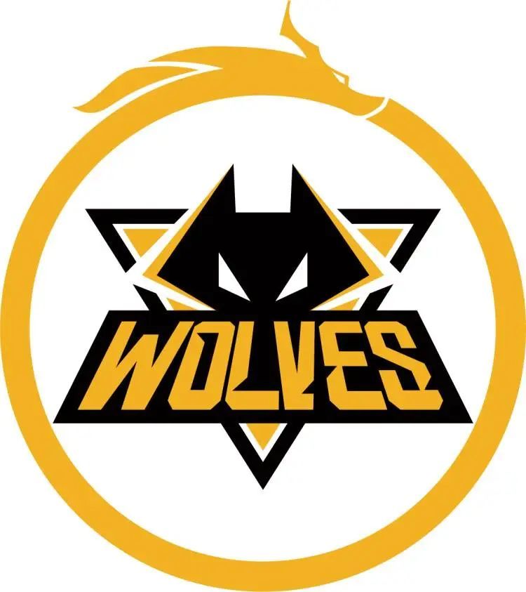 Dplus KIA 陷入了败者组，将面对 Generation Gaming 和 Nongshim RedForce 的胜者；